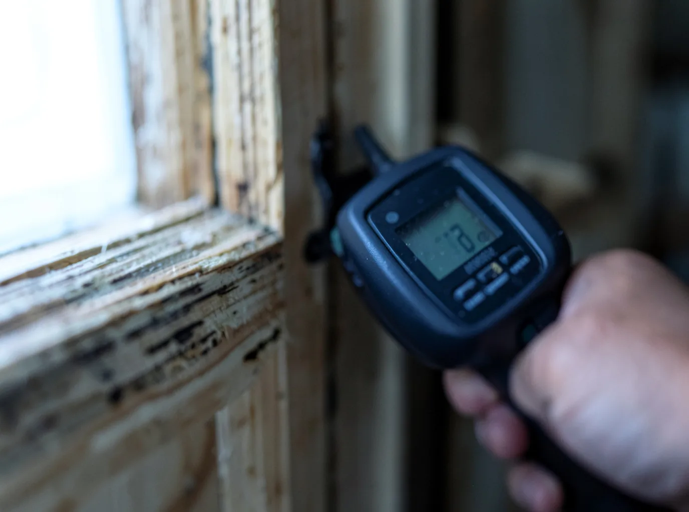 Commercial Water Damage Restoration in Woden, IA